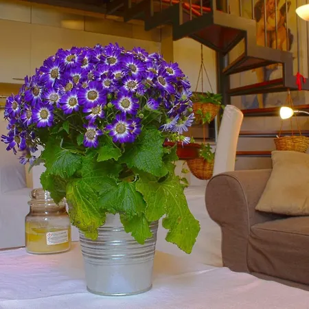 Apartamento Palazzo Bernacchi Open Space Bolonha